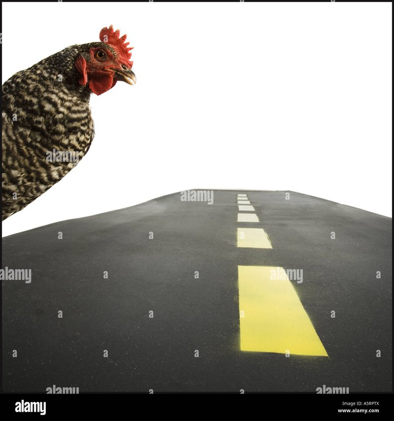 Best chicken road in Netherlands