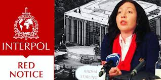 Understanding the Role of Interpol Defense Lawyers 1346466066 Understanding the Role of Interpol Defense Lawyers 1346466066