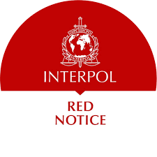 Understanding the Role of Interpol Defense Lawyers 1346466066 Understanding the Role of Interpol Defense Lawyers 1346466066